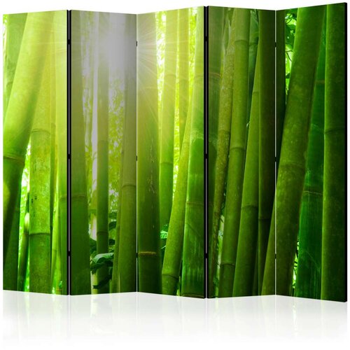  Paravan u 5 dijelova - Sun and bamboo II [Room Dividers] 225x172 Slike