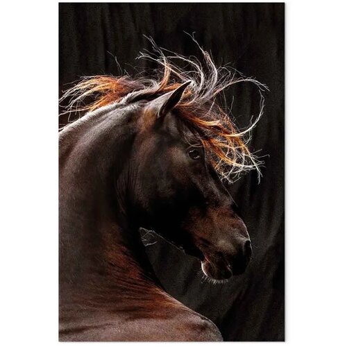  Slika - Fiery Wind (1 Part) Vertical 60x90 Standard Slike