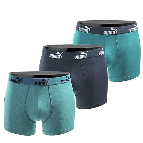 Puma Boksarice 100003547 011 040 Modra Slike
