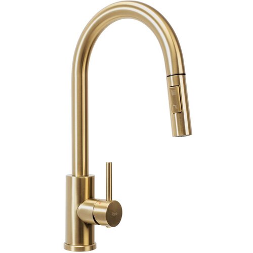 REA Bath Fresh Gold Brushed kuhinjski mešalnik Cene