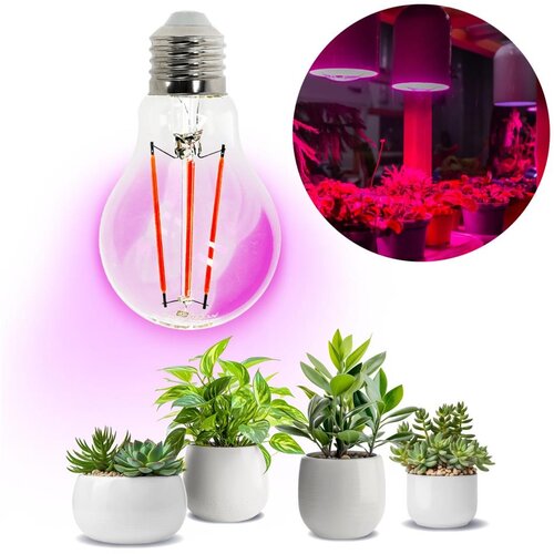  LED sijalica za rast biljaka PLANTY E27/8W/230V 1200K Cene
