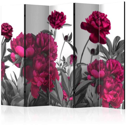 Paravan u 5 dijelova - Lush meadow II [Room Dividers] 225x172 Slike