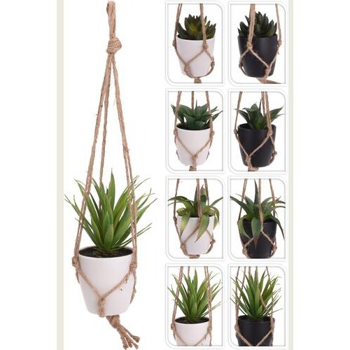  CVIJEĆE U SAKSIJI 24CM VISEĆE Cijene