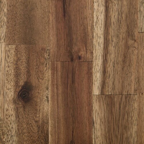 EXCLUSIVHOLZ Plošča iz lepljenega lesa (Akacija, 800 x 200 x 18 mm) Cene
