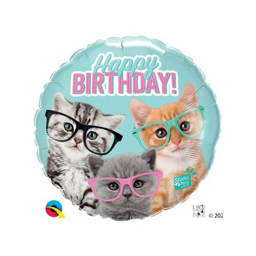 mace sa naočarima balon srećan rođendan Slike