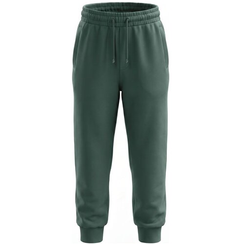 Lucky Kiddo hlače trenirka DH LK-KBJP 2_26 CL A 033154 F zelena 146 Cene