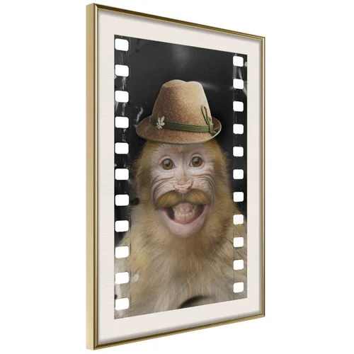  Poster - Dressed Up Monkey 40x60