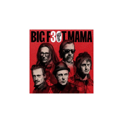 POSNETI MEDIJI BIG FOOT MAMA - BIG FOOT MAMA 30 V ŽIVO ARENA..2CD, (20408273) Cene