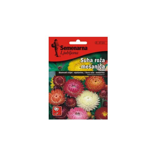 Semenarna 3720 suva ruža mix 3093 seme Slike