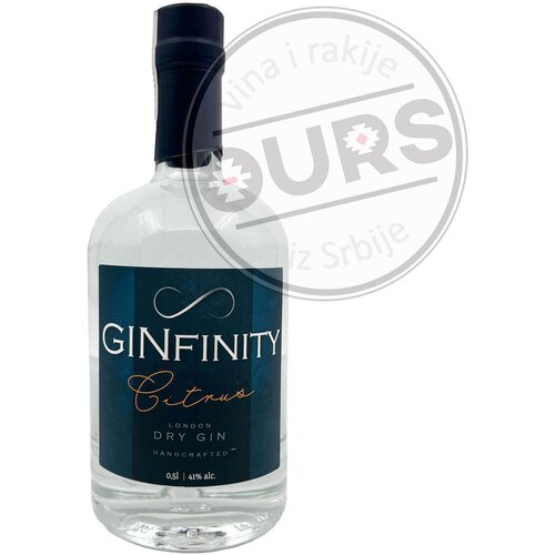  GINfinity Citrus 0,5L Slike