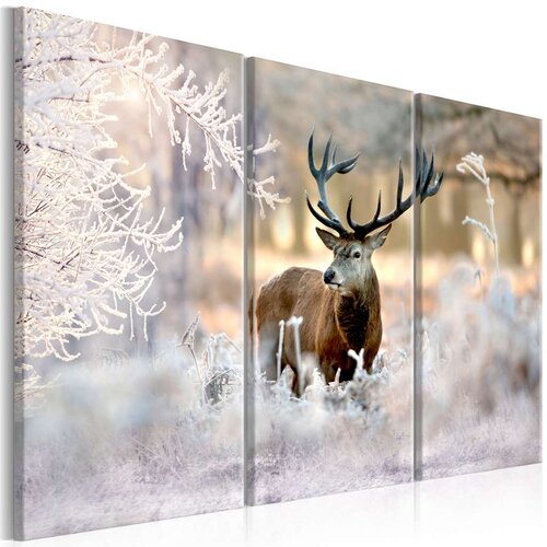  Slika - Deer in the Cold I 90x60 Slike