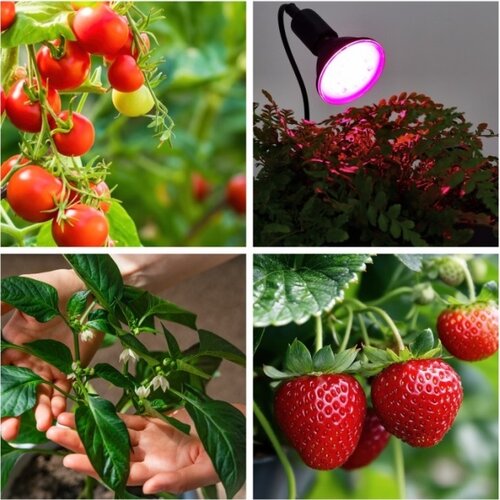 Fleksibilna stona lampa sa stezaljkom PLANTY 1xE27/30W/230V crna Slike