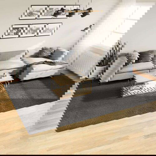  IZA kratka vlakna skandinavski izgled antracit 240x340 cm Cene