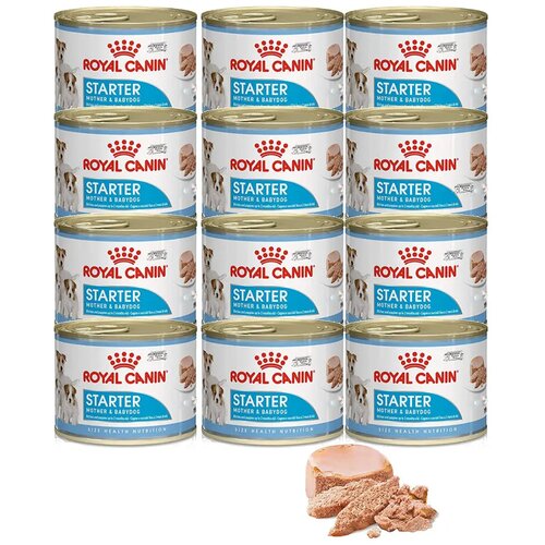 Royal Canin starter mousse 12 x 195g | vlažna hrana za štenad i dojilje Cene