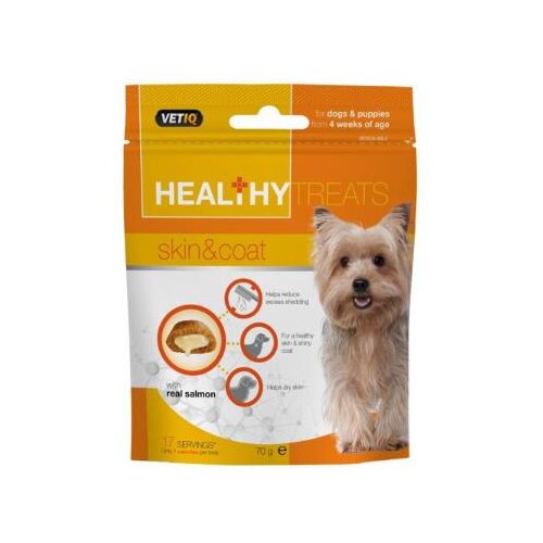 Healthy Treats Skin And Coat 70g Cene