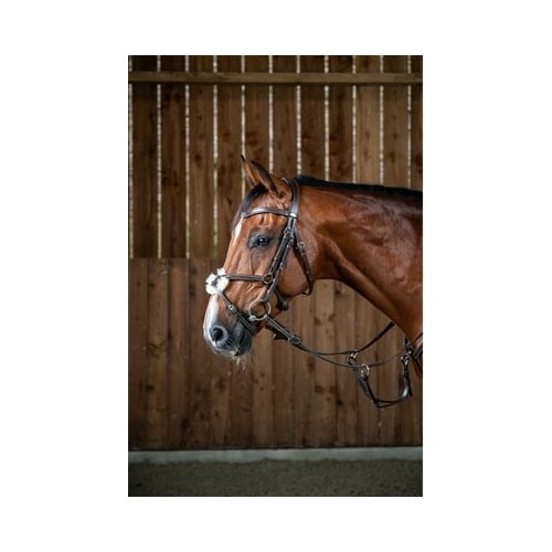 Dyon Uzda z mehiškim nosnim trakom "Working" rjava - Full Cene