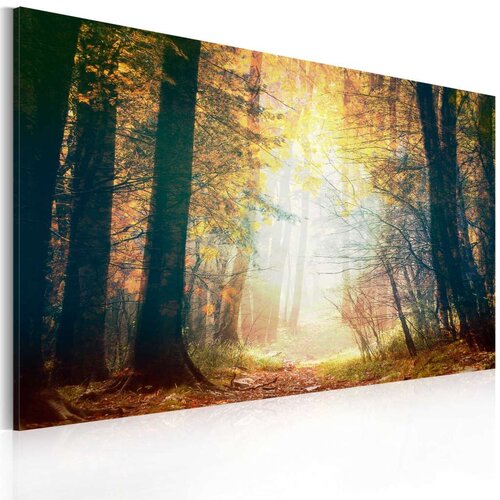  Slika - Beauty of autumn 60x40 Slike