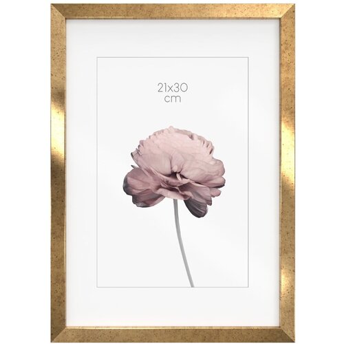 Styler Okvir 23x32 cm Prague - Cijene