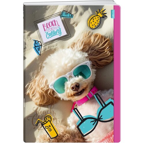  Premium, sveska, 60 lista, Fuzzy pets - odaberite motiv A5 Blanko Kuca Cene