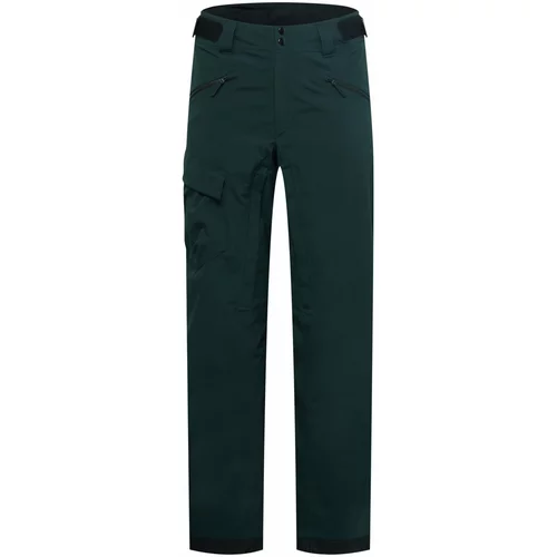 adidas Terrex Športne hlače svetlo siva / zelena / črna