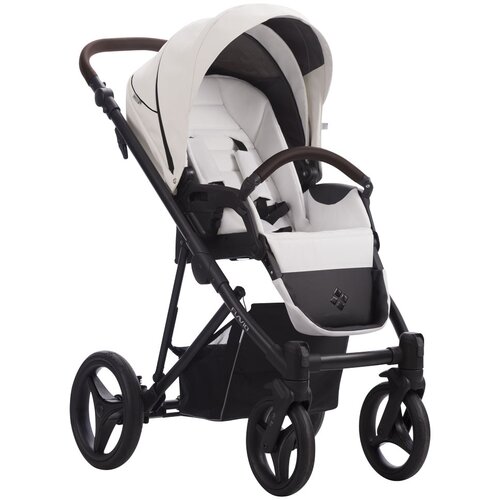 Bebetto flavio pro kolica za bebe set 2U1 01 Cene