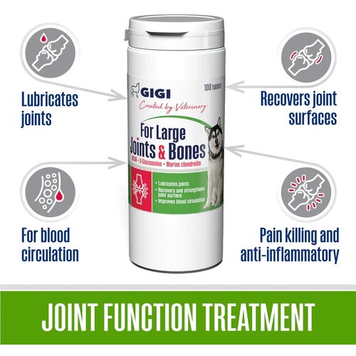 GIGI for large joints&bones za zglobove 100 tableta Cene