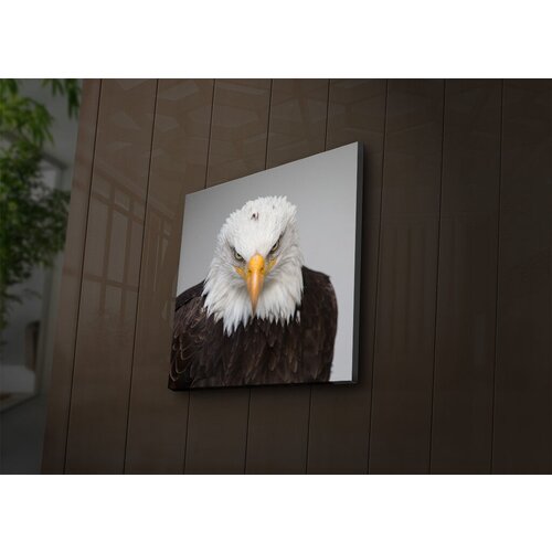 Wallity Slika sa LED osvetljenjem 4040İACT-41, 40x40 cm Cene