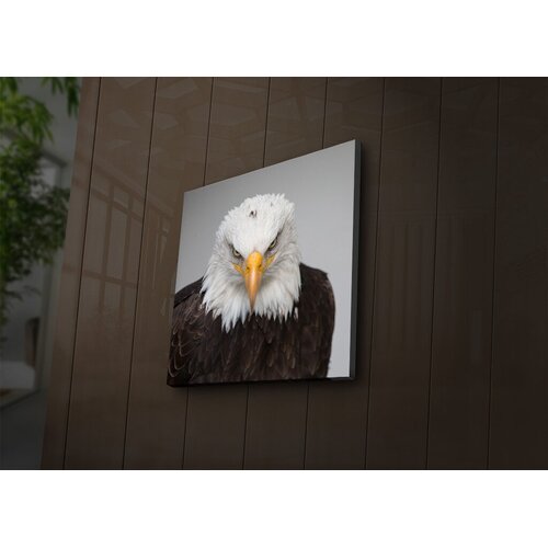 Wallity Zidna slika sa LED osvjetljenjem 4040IACT-41, 40x40 cm Cijene
