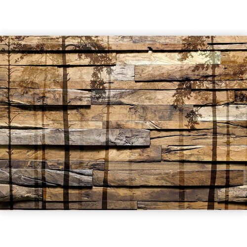Artgeist Fototapeta Shadow Of Trees, 400x280cm Cene
