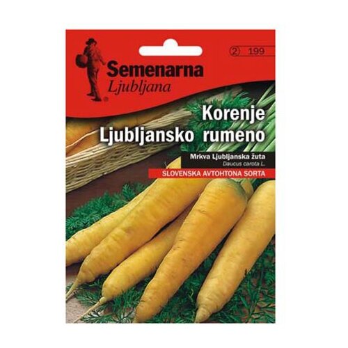 Semenarna KORENOVKA KORENJE LJUBLJANSKO RUMENO V MALI VREČICI 199 Slike