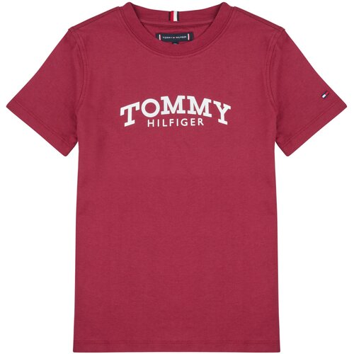 Tommy Hilfiger Majice s kratkimi rokavi MONOTYPE PRINT GRAPHIC T-SHIRT Bordo Cene
