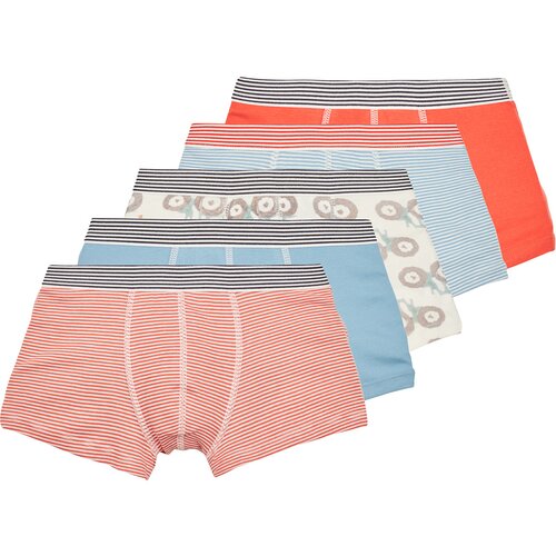 Petit Bateau BOXERS PACK X5 Vi&amp;scaron;ebojna Slike