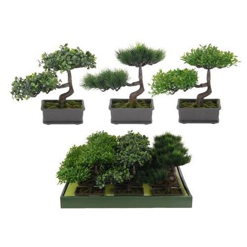  BONSAI PVC SORTO Cene