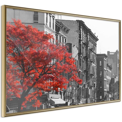  Poster - Autumn Colours II 30x20 Cijene