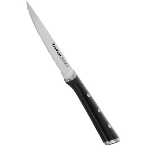 Tefal Set nožev za steak iz nerjavečega jekla 4 kos Ice Force - Tefal Cene