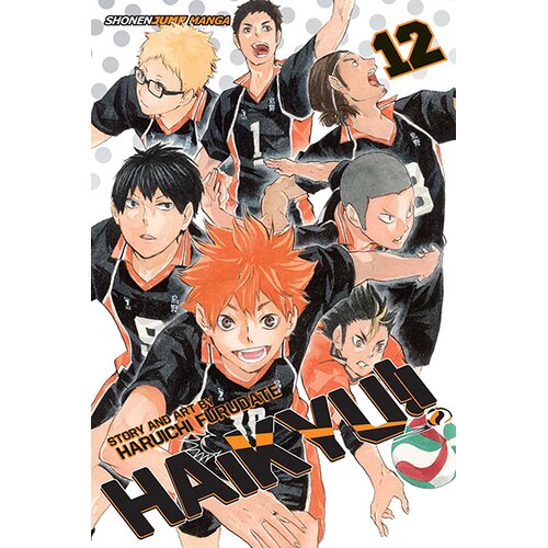 VIZ Media Haikyu!!, Vol. 12: The Tournament Begins! Cene