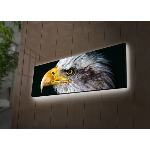 Wallity Slika sa LED osvetljenjem 3090DACT-62, 30x90 cm Cene