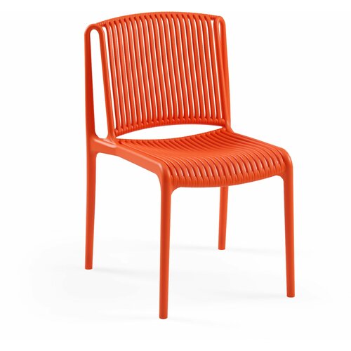 Tilia stolica nes orange Slike