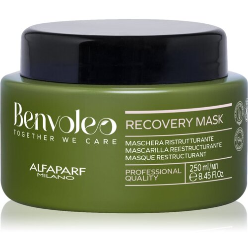 ALFAPARF MILANO Benvoleo Recovery intenzivna regeneracijska maska za poškodovane lase 250 ml Cene