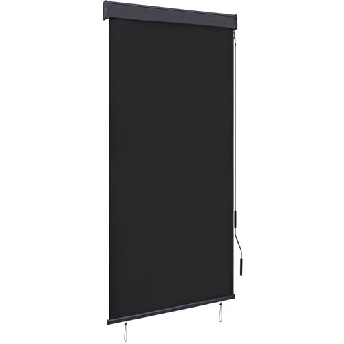 VidaXL Zunanje rolo senčilo 100x250 cm antracitno Slike