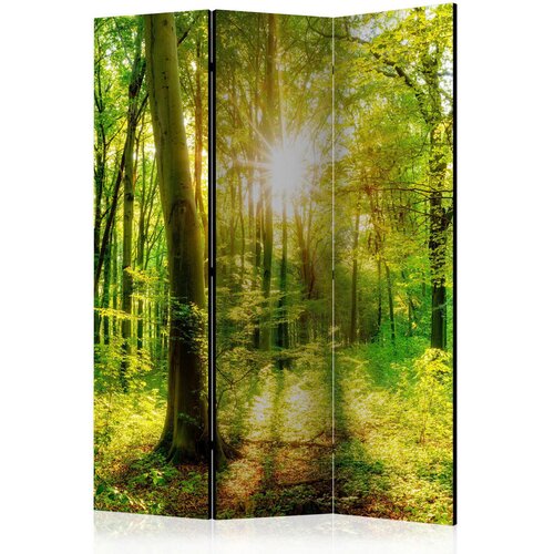 Artgeist PARAVAN 135/172/3 cm rumena, zelena Cene