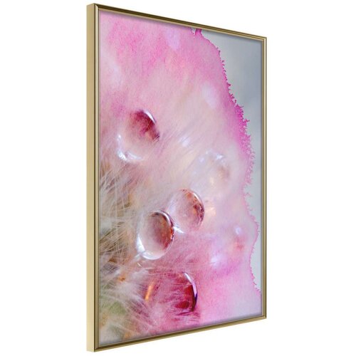  Poster - Tears of Happiness 40x60 Slike