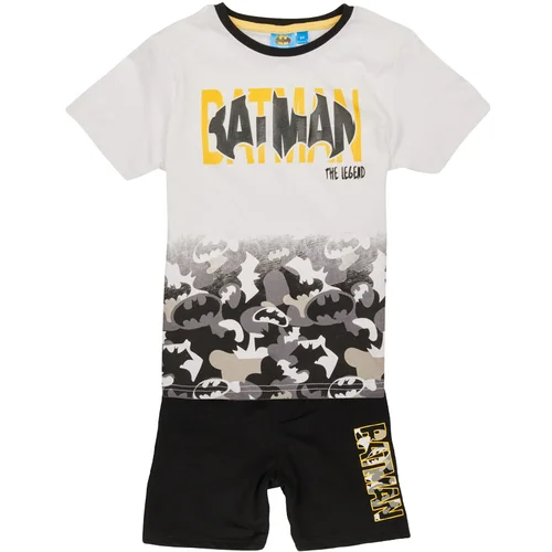 TEAM HEROES ENSEMBLE BATMAN Multicolour