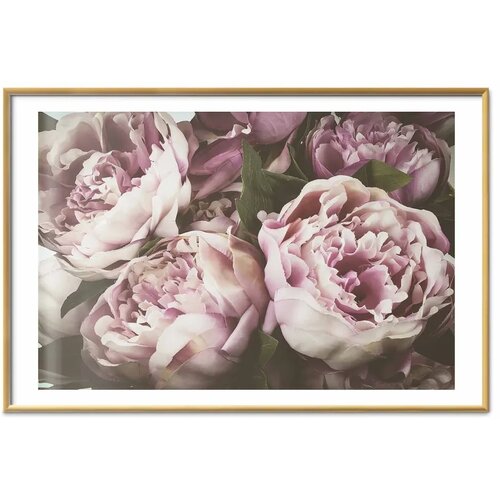  Plakat Pink Peonies 30x21 Cijene