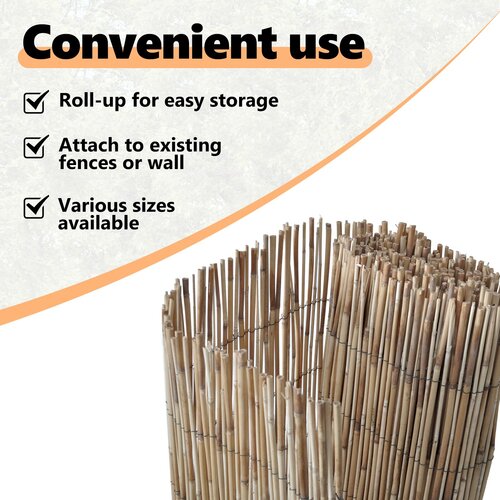 VidaXL Vrtna ograda 600x100 cm Reeds Prirodni bambus Bambus 180 x 300 cm Slike