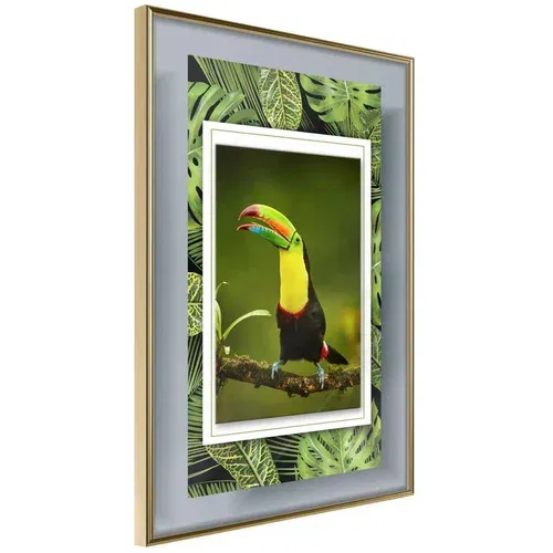  Poster - Toucan in the Frame 40x60