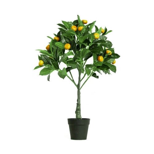 Dekordom drvo kumquat n55 - 70cm ( 025085 ) Cene