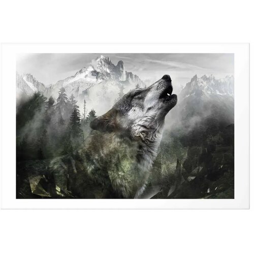  Plakat - Howling Wolf 60x40 Bez okvira s margom Slike