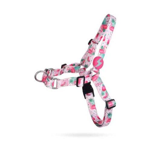 Dashi Front Harness Flamingo S Cene