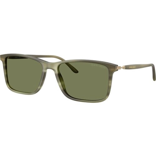 Giorgio Armani Naočare za sunce AR 8218 61682A Cene